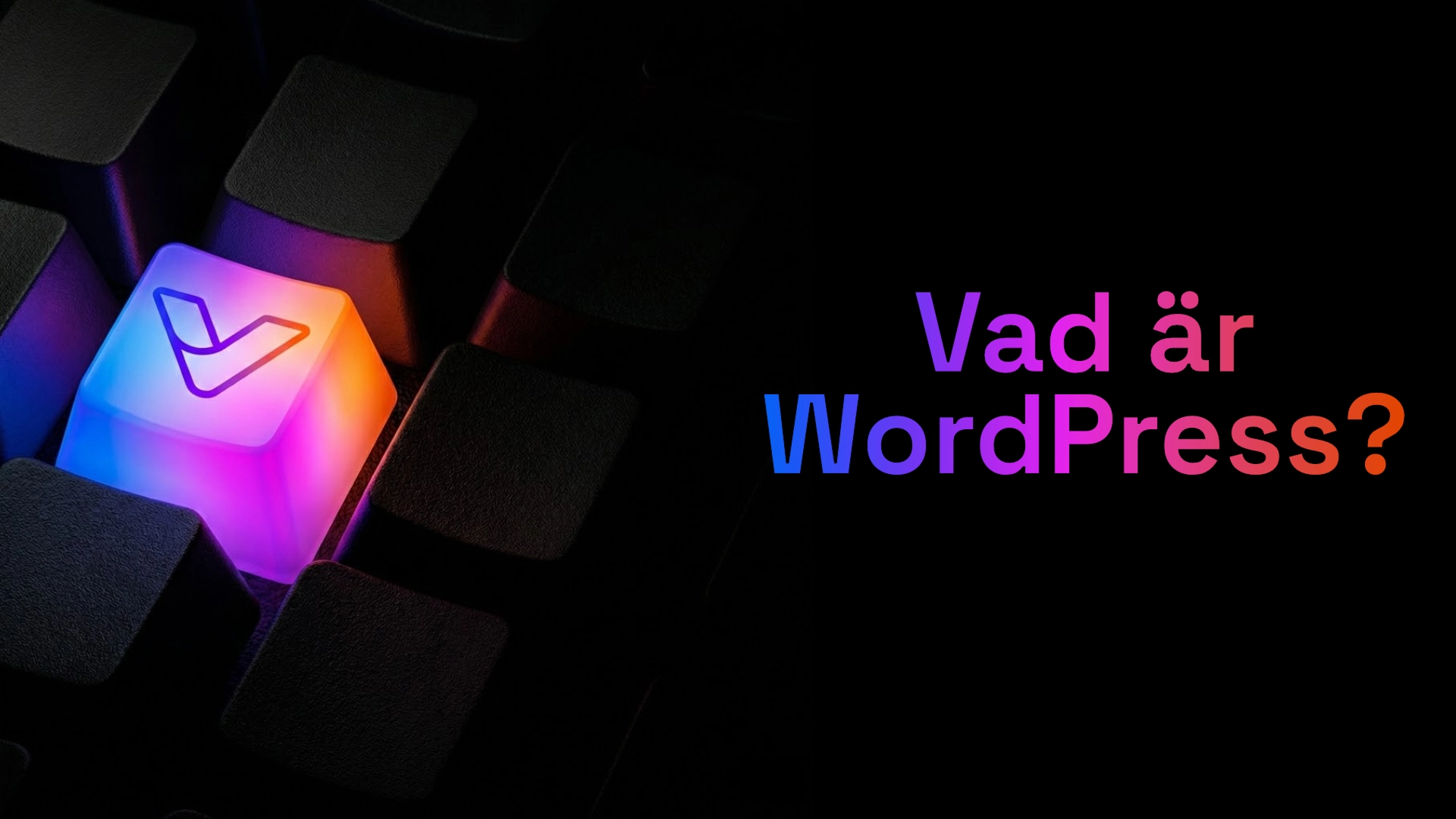Vad är WordPress? – En komplett guide